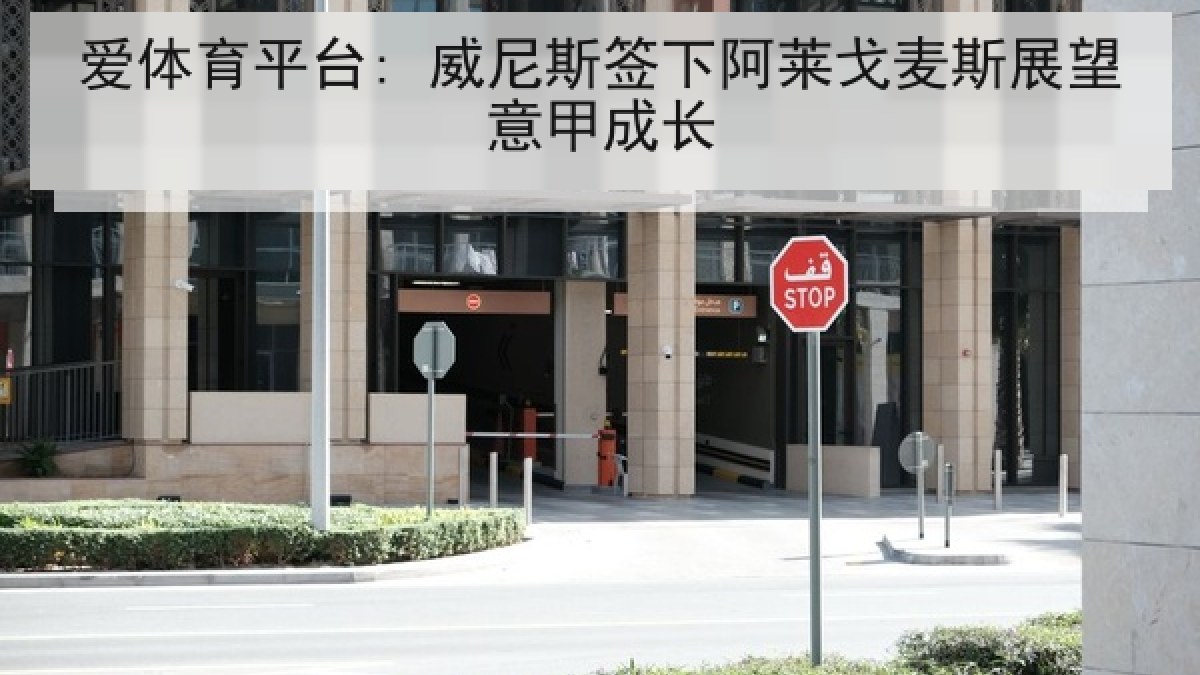 爱体育平台: 威尼斯签下阿莱戈麦斯展望意甲成长