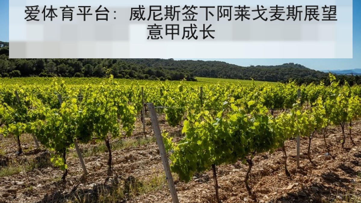 爱体育平台: 威尼斯签下阿莱戈麦斯展望意甲成长