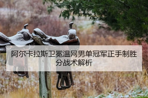 a-er-ka-la-si-wei-mian-wen-wang-nan-dan-guan-jun-zheng-shou-zhi-sheng-fen-zhan-shu-jie-xi-2-173.jpg