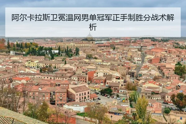 a-er-ka-la-si-wei-mian-wen-wang-nan-dan-guan-jun-zheng-shou-zhi-sheng-fen-zhan-shu-jie-xi-3-297.jpg