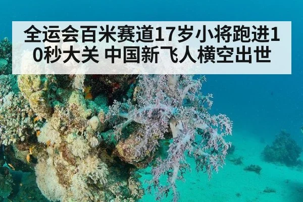 全运会百米赛道17岁小将跑进10秒大关 中国新飞人横空出世