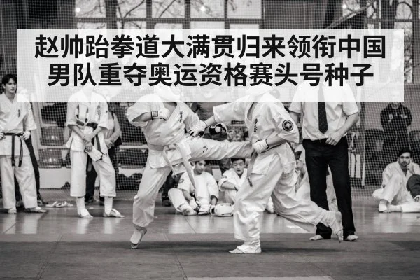 taekwondo competition